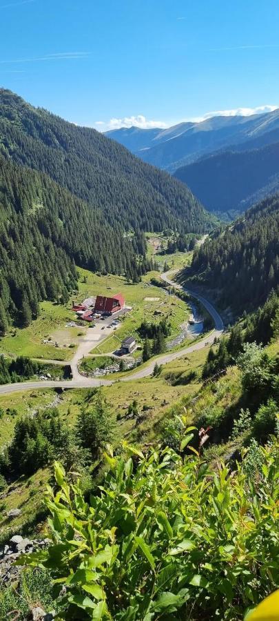 Casa Lupilor Transfagarasan Villa Capatineni-Ungureni Exterior photo