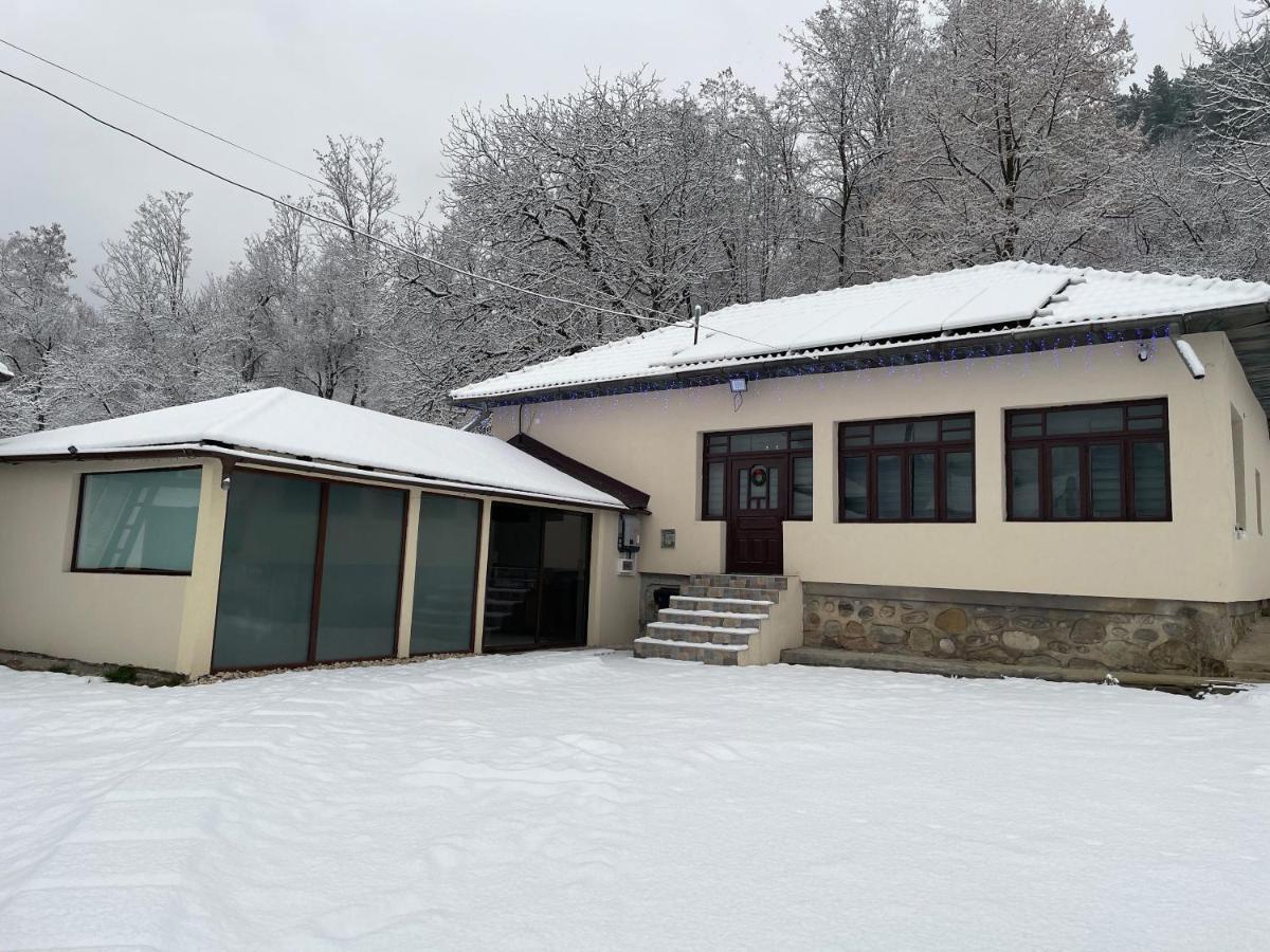 Casa Lupilor Transfagarasan Villa Capatineni-Ungureni Exterior photo