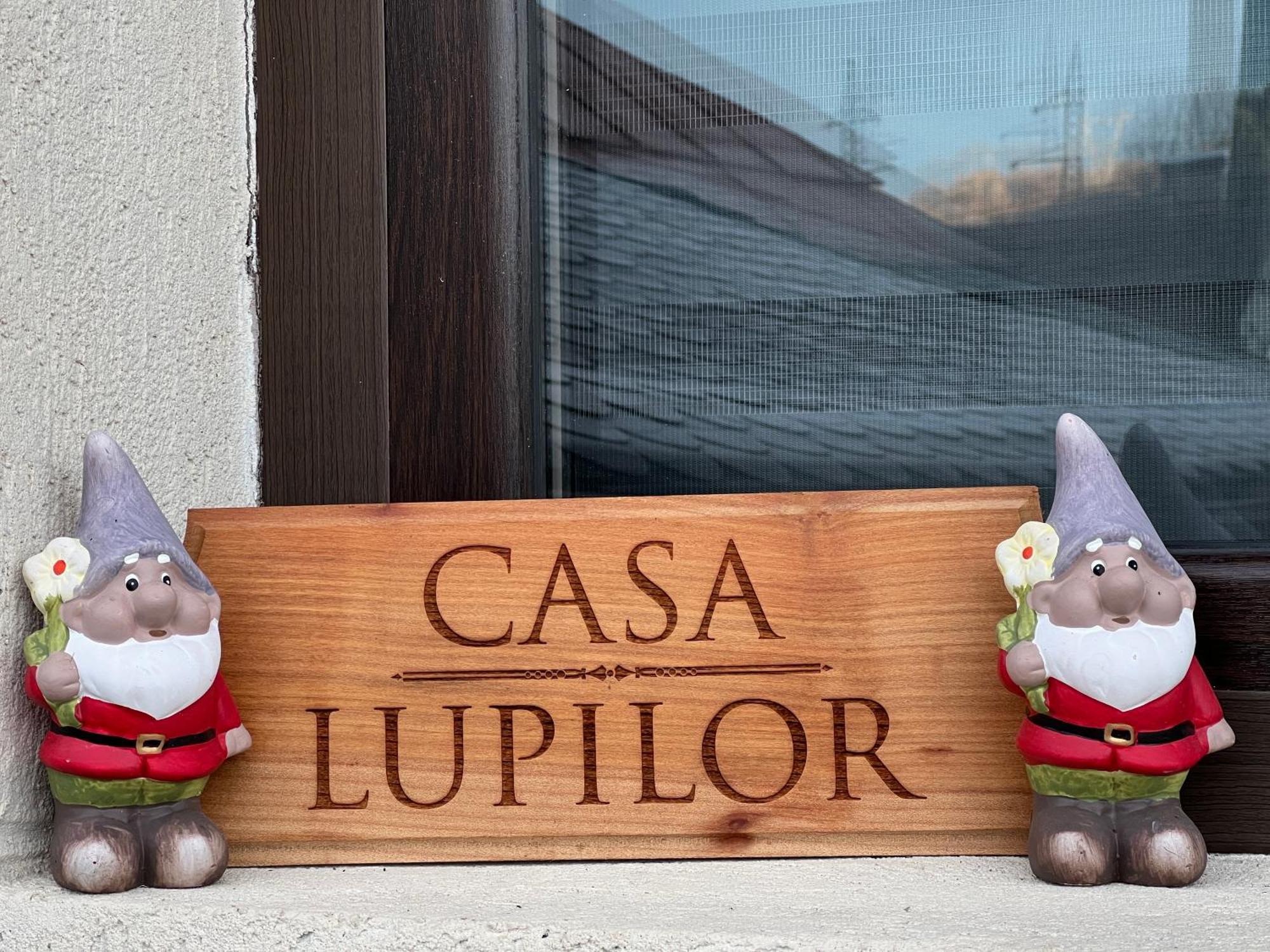 Casa Lupilor Transfagarasan Villa Capatineni-Ungureni Exterior photo